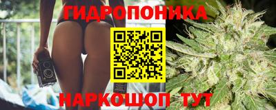прущая мука Тверь