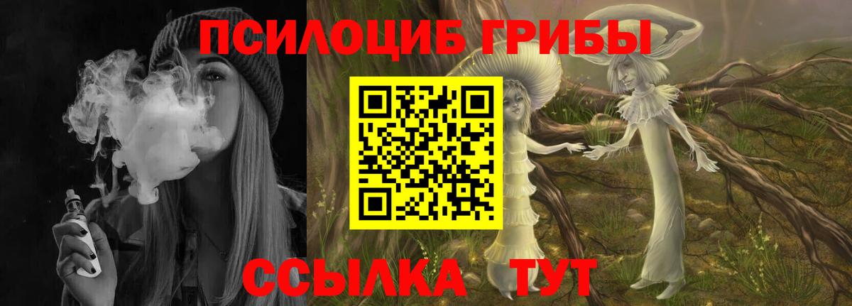 Галлюциногенные грибы прущие грибы  Вход с VPN  Карабулак 